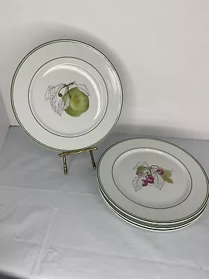 Block Spal Portugal Mary Lou Goertzen Watercolor Fruit Salad Plates 8” Set Of 4 • $32.99