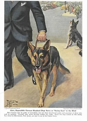 German Shepherd - CUSTOM MATTED - 1941 Vintage Color Dog Art Print • $15