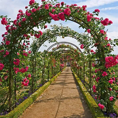 Heavy Duty Metal Garden Arch Rose Archway Pergola Arbour Climbing Plants Trellis • £18.93