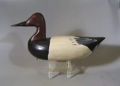 Canvasback Duck Decoy Maryland Or North Carolina Circa 1940 • $45