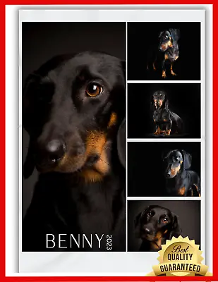 Dachshund Custom Dog Throw Blanket Personalized Photo Gift 30x40 50x60 60x80 • $44.99