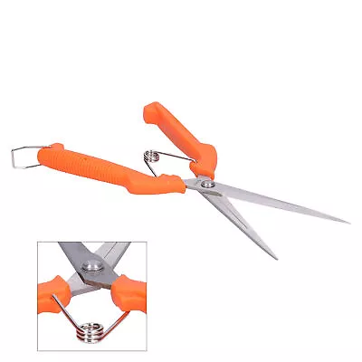 Garden Shears Long Handle Fruit Picking Scissors For Arranging Flowers SD • £54.62