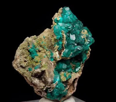 DIOPTASE Crystals & MOTTRAMITE !!!  Republic CONGO Pool Department SANDA /pg581 • $99.99