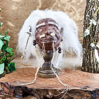 A60a Shrunken Head Reproduction Tsantsa By Local Tribesmen Oddities Curiosities • $124.99