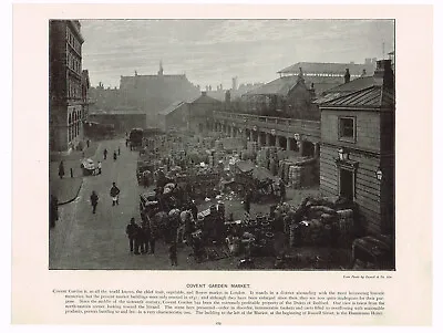 Covent Garden Flower Vegetable Market London Antique Picture Print 1896 • £3.49