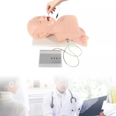 $208.05 • Buy 220V Intubation Manikin Study Teaching Model Airway Management Trainer Tool  PVC