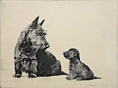 MORGAN DENNIS-MA/CA Realist-Hand Signed LIM.ED Etching-Scottish Terrier W/ Puppy • $399
