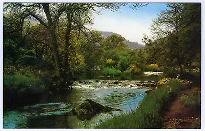 1970s Postcard River Wye Millers Dale Buxton Peak District Derbyshire Unposted • £2.91