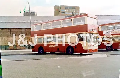 BUS PHOTOGRAPH - Merseyside PTE PHF 559T / 1818  #134 • £1.25