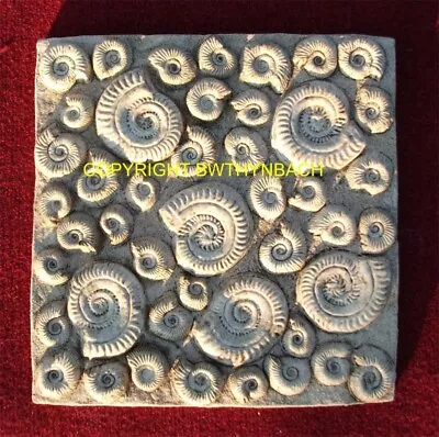 New Design Rubber Latex Mould Moulds Mold Ammonite Stepping Stone Square • £55