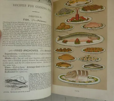 Antique Cookery Book 1888 Mrs Beeton's Book Of Household Management H/B Recipes • $31.13