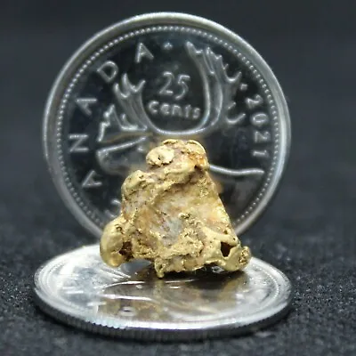 Gold Nugget  334  / 4.22    Grams • $310.63