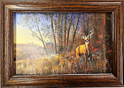 Jim Hansel Misty Morning Deer Bow Hunting Art Print-Framed 14.5 X 11.5 • $37.95