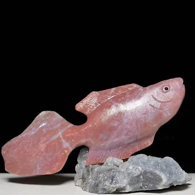 Natural Crystal Cluster Quartz Mineral Specimen Marine Stone Hand Carved Fish • $68