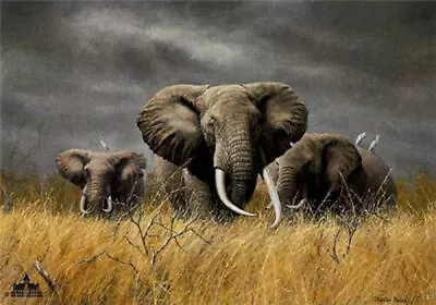 Charles Frace Power Of Serengeti (elephant) S/N  Limited Edition Print  COA • $125