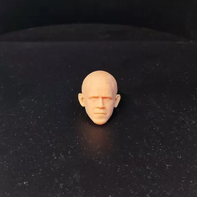 1/12 Scale America President Obama Head Sculpt Unpainted Fit 6  ML Figure • $11.99