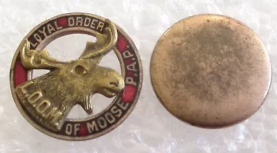 Antique Loyal Order Of Moose P.A.P. Member Lapel Pin - LOOM Lodge Screw Back • $13.99