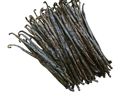 Madagascar Bourbon Vanilla Beans Grade B - Great For Extraction & Baking • $275.49