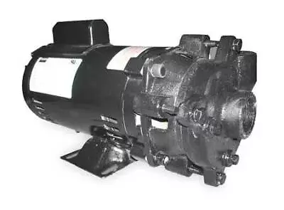 Dayton 2Zwp1 Cast Iron 1/2 Hp Centrifugal Pump 115/230V • $310.99