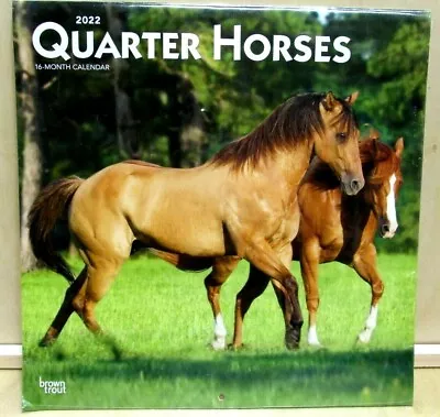 $3.80 • Buy 🐴   2022 Quarter Horses 16 Month Square Calendar 12 X12  Equestrian Horse 
