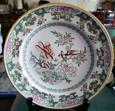 Rare Antique 1860 Minton Cabinet Plate Hand Painted Birds & Flowers • $149.99