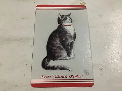 Cat Swap Card Peake Chessie’s “Old Man” • $2