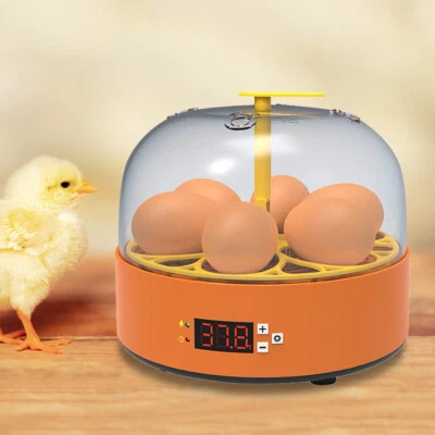 £25.39 • Buy 6 Egg Incubator Mini Eggs Incubation Brooder 15W Adjustable Temperature Control