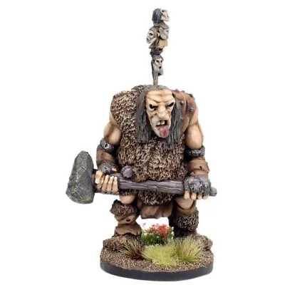 Giant Troll With Hammer Resin Warhammer Fantasy Armies 28mm Unpainted Wargames • £7.88