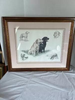 £124.46 • Buy Nigel Hemming Signed Labrador Print