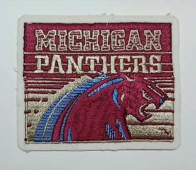 VINTAGE MICHIGAN PANTHERS USFL CHAMPIONS Patch 3.5  X 4.5  FREE SHIPPING • $18