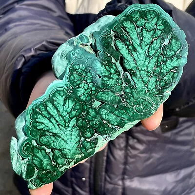 355G Natural Green Malachite Slab Quartz Crystal Slice Ore Specimen Healing • $0.99