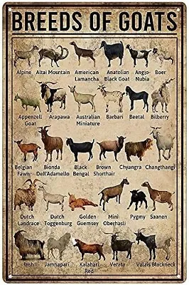 Breeds Of Goat Animal Farming Knowledge Metal Sign Vintage Farm Goat Tin Sign • $14.99