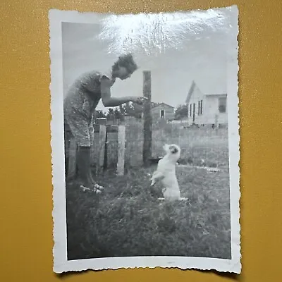 Being Jack Russell Dog Puppy C1950 VINTAGE PHOTO Original Snapshot Trick • £9.27