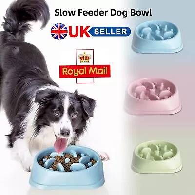 £5.88 • Buy Slow Feeder Dog Bowl Pet Cat Interactive Feeding Bowl Anti Bloat No Gulp Puppy