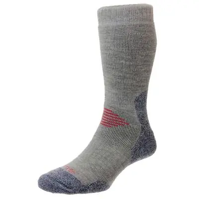 £19.99 • Buy HJ Hall HJ704 Mens Protrek Dual Skin Socks Grey Denim Navy Red Size 6 To 11