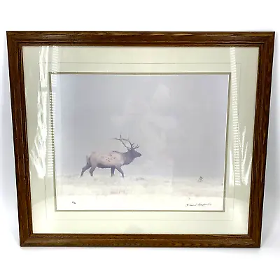 Thomas D Mangelsen Bull Signed Numbered Wildlife Photograph Framed 29 X 24 1979 • $249.99