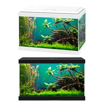 Ciano Aqua 20 Classic Aquarium 17L With Filter Beginner Fish Tank White Or Black • £39.89