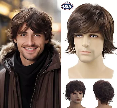 Men's Short Brown Wig Natural Fluffy Synthetic Hair Wig Heat Resistant Daily USA • $11.24