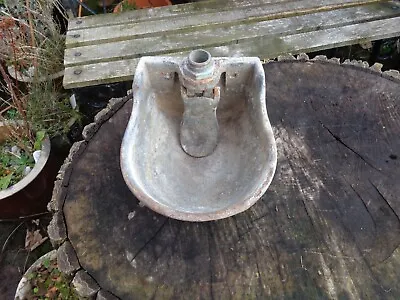 Galvanized Cattle Drinker Water Bowl Cast Iron Planter Wall Mounted • £15