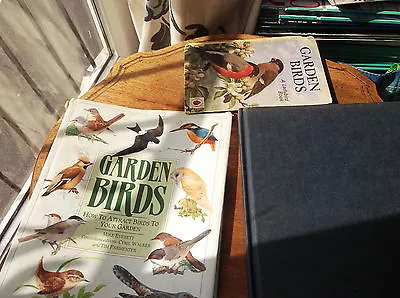 Hardback & Dc Garden Birds Attract To Your Garden & Foc Ladybird • £3.50