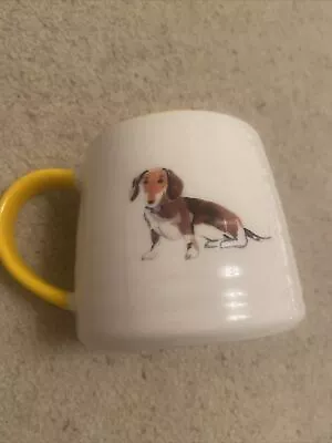 Sausage Dog Dachshund Mug White Yellow  • £7.72