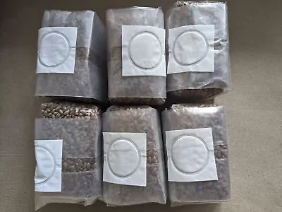Sterilized Rye Berries Mushroom Substrate Bags For Grain Spawn (6 X 1 Lb.) • $24.99