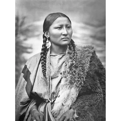 £12.99 • Buy Native American Arapaho Pretty Nose 1879 Photo Canvas Wall Art Print Poster