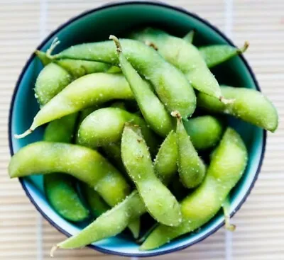 35 Pcs Japanese Edamame Bean Seeds – Free Shipping • $3.99
