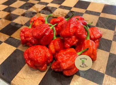 HEAVY PRODUCER: Trinidad Red Moruga Scorpian Pepper Seeds (12-Pack) • $5