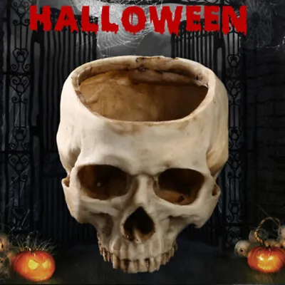 Resin Artificial Human Skull Design Bowl Flower Pot Planter Bar Halloween Decor • £9.95