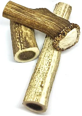£3.09 • Buy Antler Natural Dog Chew - XS, Small, Medium, Large, XL - Brand New