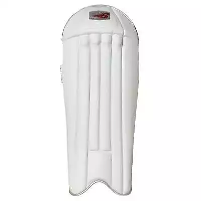 New Balance TC1260 Wicketkeeper Cricket Pad • $130.95