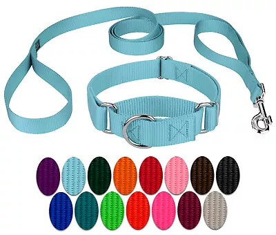 Country Brook Design® Martingale Heavyduty Nylon Dog Collar/Double Handle Leash • $18.97