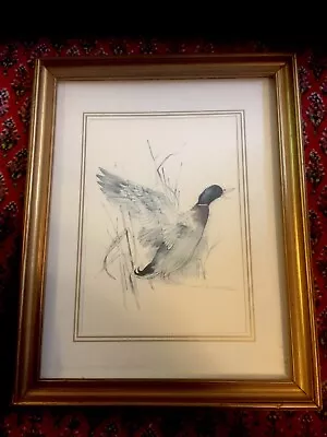 £15 • Buy Vintage Professionally Framed Mads Stage Signed Wild Duck StudyPrint 37cm X 47cm